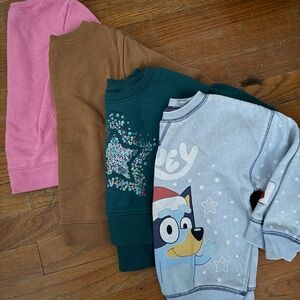 4 Kids Sweatshirt Collection - Pink, Brown, Green, Bluey 2T